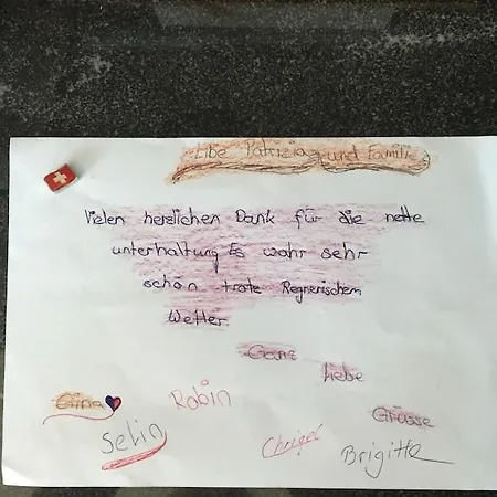 Patrizia With A Fantastic View Of Maggiore And The Pool *